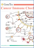 Cancer Immune Checkpoints / Иммунные мишени рака